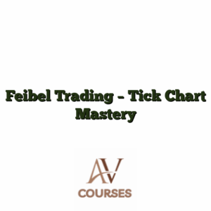 Feibel Trading - Tick Chart Mastery