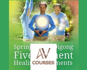 Five Element Healing Movements By Spring Forest Qigong