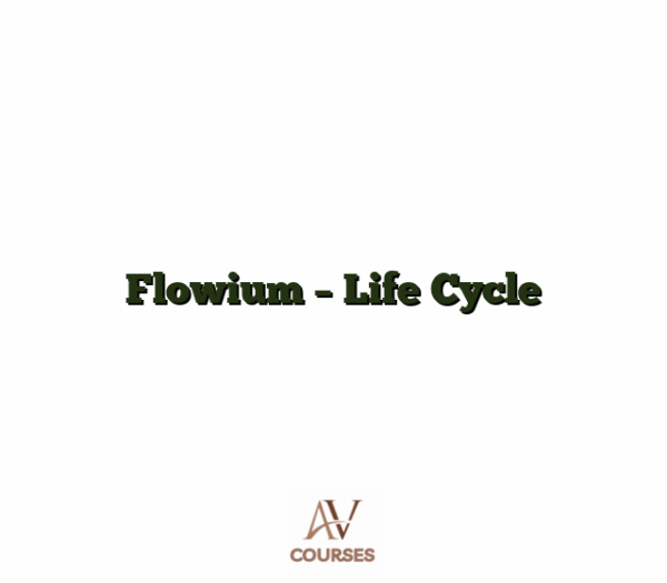 Flowium - Life Cycle