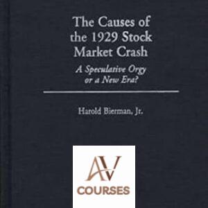 The Causes of the 1929 Stock Market Crash