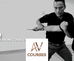 Jared Wihongi - Edged Weapons Countermeasures