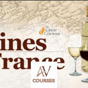 Jennifer Simonetti-Bryan - The Everyday Guide to Wines of France
