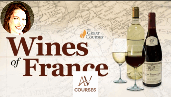 Jennifer Simonetti-Bryan - The Everyday Guide to Wines of France