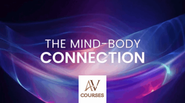 John Demartini - The Mind - Body Connection (Videos Only)