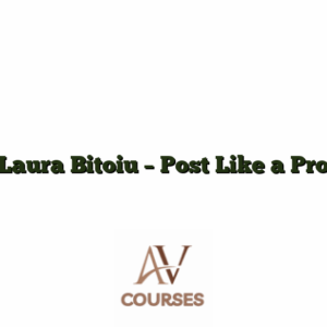 Laura Bitoiu - Post Like a Pro