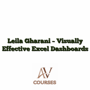 Leila Gharani - Visually Effective Excel Dashboards