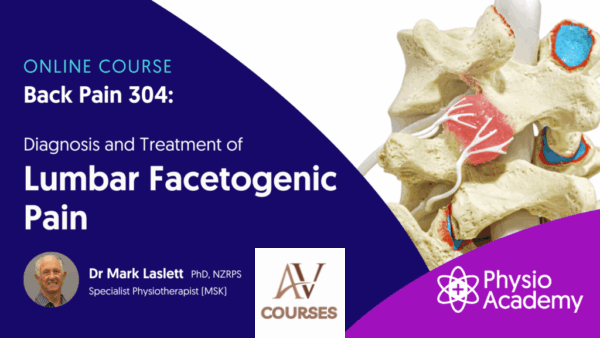 Mark Laslett - Back Pain 304 - Lumbar Facetogenic Pain