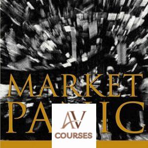 Market Panic: Wild Gyrations, Risks and Opportunities in Stock Markets
