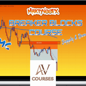 MartyVeeFX - Breaker Block Course