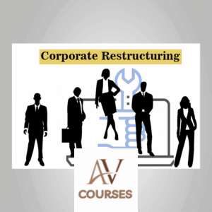 Matan Feldman - Corporate Restructuring Primer