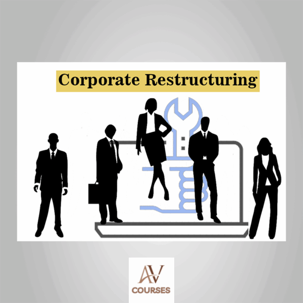 Matan Feldman - Corporate Restructuring Primer