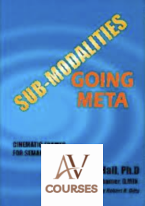Michael Hall & Bob Bodenhamer - Sub-Modalities Going Meta