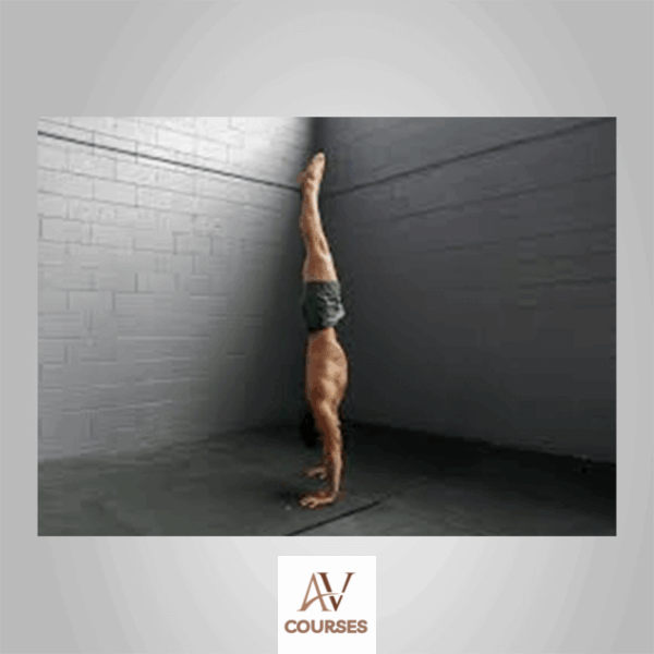 Mike Aidala - HANDSTAND Course
