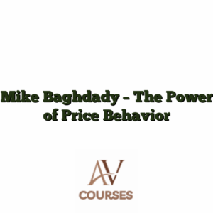 Mike Baghdady - The Power of Price Behavior