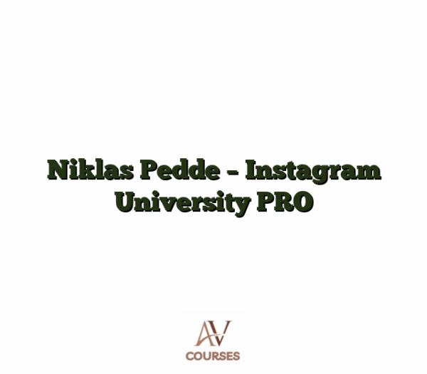 Niklas Pedde - Instagram University PRO