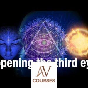 Raja Choudhury - The Shift Network - Open Your Third Eye