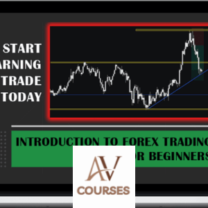 Real Life Investor Courses - Introduction to Forex Trading for Beginners