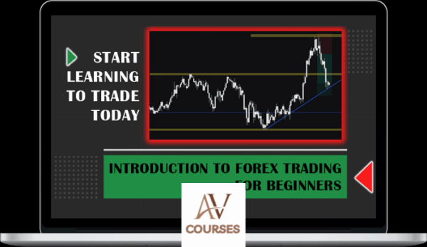 Real Life Investor Courses - Introduction to Forex Trading for Beginners