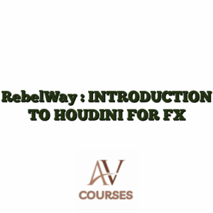 RebelWay : INTRODUCTION TO HOUDINI FOR FX