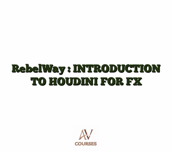 RebelWay : INTRODUCTION TO HOUDINI FOR FX
