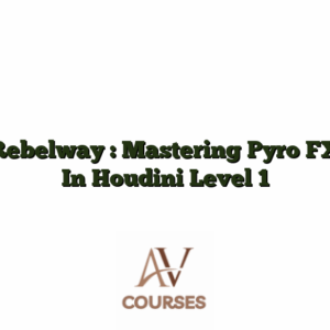 Rebelway : Mastering Pyro FX In Houdini Level 1