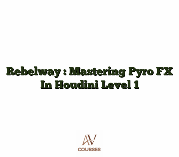 Rebelway : Mastering Pyro FX In Houdini Level 1