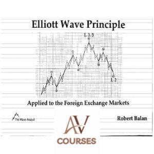 Elliott Wave Principle Applied To The Foreign Exchange Markets