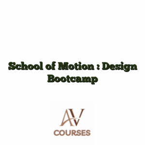 School of Motion : Design Bootcamp