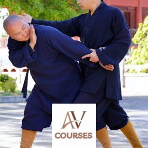 Shaolin Martial Arts - Shaoulin Apprenticeship Online Year 1
