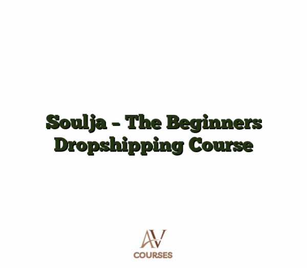 Soulja - The Beginners Dropshipping Course