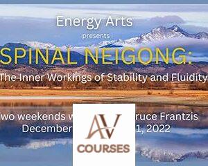 Spinal Neigong - The Inner Workings of Stability and Fluidity 2022 By Bruce Frantzis - Energy Arts