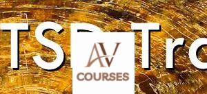 Steve Andreas - The PTSD Training