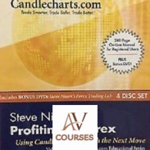 Steve Nison’s Profiting in Forex Workshop