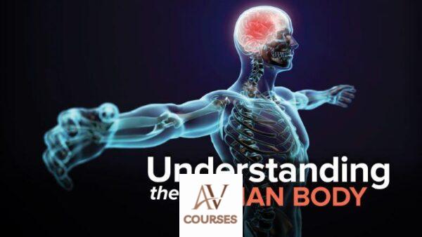 TTC Video - Anthony Goodman - Understanding the Human Body 2nd Edition