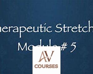 Thai Yoga Bodywork Certification Training - Therapeutic Stretches 1 - Module #5 By Michael Sitzer