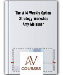 The A14 Weekly Option Strategy Workshop – Amy Meissner