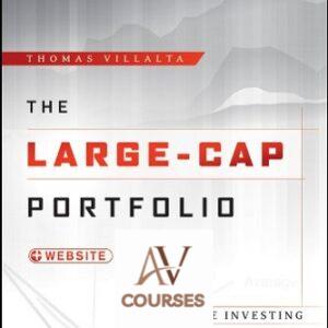 The Large-Cap Portfolio: Value Investing and the Hidden Opportunity in Big Company Stocks