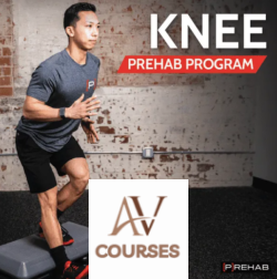 The Prehab Guys - The KNEE [P]REHAB PROGRAM