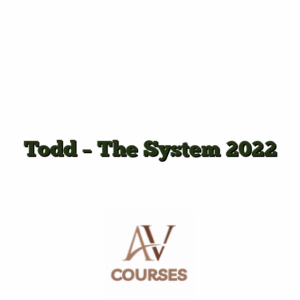 Todd - The System 2022