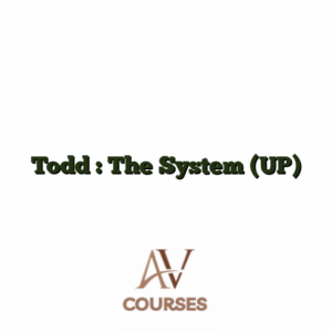 Todd : The System (UP)