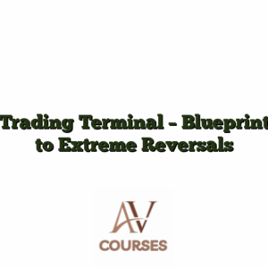 Trading Terminal - Blueprint to Extreme Reversals