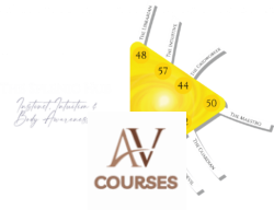 Unlock Your Design Academy - The 7 Splenic Hub Archetypes