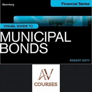 Visual Guide to Municipal Bonds