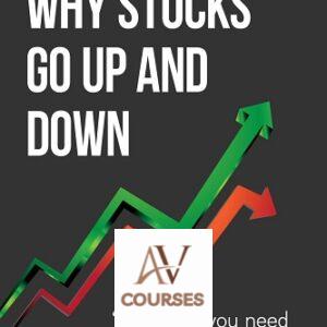Why Stocks Go Up and Down