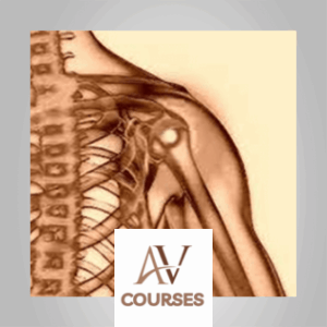 Yadi Alamin - Save your Joints