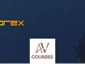 Yin Yang Forex Training Program – Trading Mastermind