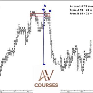 Point and Figure Charting To Maximize Your Profits by Dr.Gary Dayton